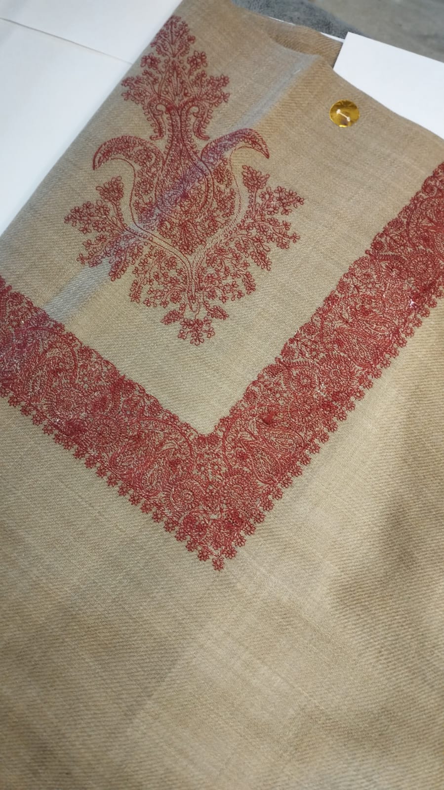 Ajur Qalam Kaari Super Turma Kashmiri semi pashmina with brick terracotta corner motif and border